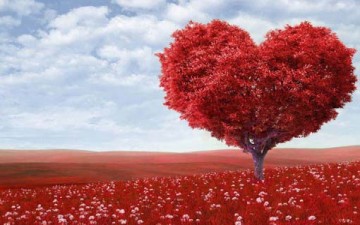 حادث سير عاطفي