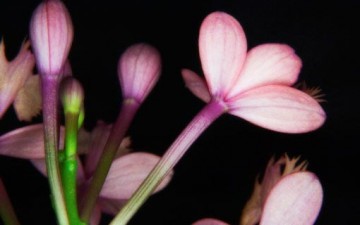 5 خطوات للتحلي بالجاذبية