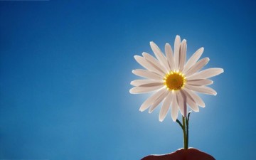 الإحسان والعفو عند المقدرة