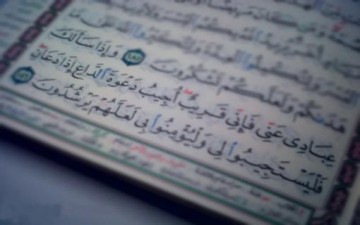 التوكل والطريق الشائك