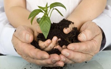 بناء العلاقة الأسرية