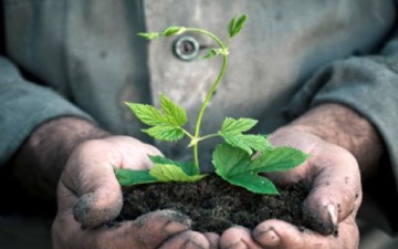 روائع الإيثار