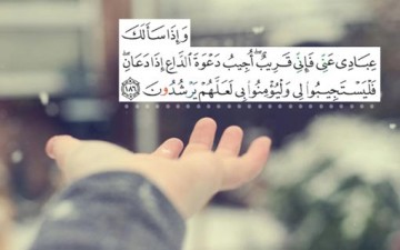 التفاعل مع الدعاء