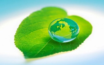 دور الدين في الحياة الاجتماعية