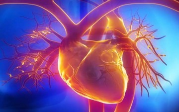 حواس وبصمة القلب