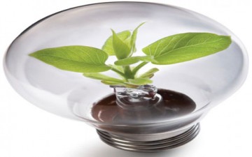 الثقة بالنفس والتوكل