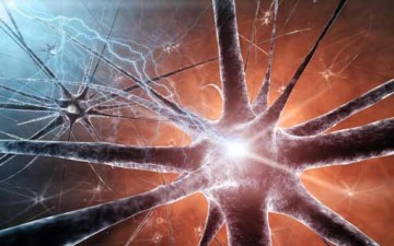 أسرار الجهاز العصبي في الإنسان