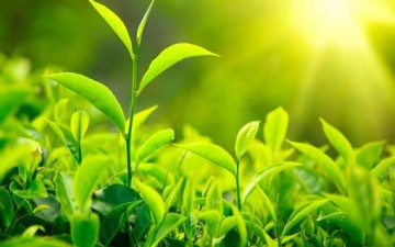 الوقاية التربوية