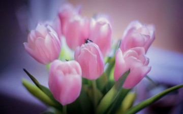 تعامل بود وانشره في طريقك