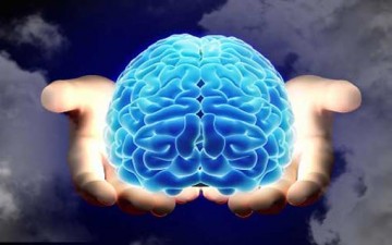 القلب والدماغ والذاكرة