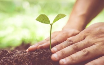 صلاح النفوس وإصلاحها