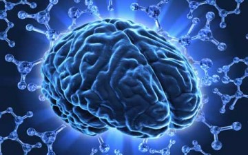 احترام العقل وإعطاءه الدور اللّائق