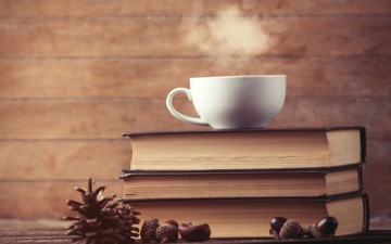 الأديب الإسلامي والانفتاح