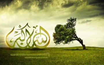 آل عمران عائلة عظيمة