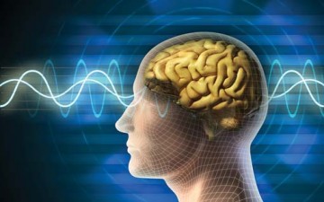 العقل.. شعور