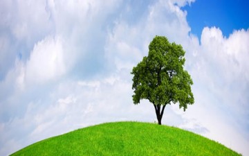 البيئة بين إتقان الخالق وإفساد المخلوق