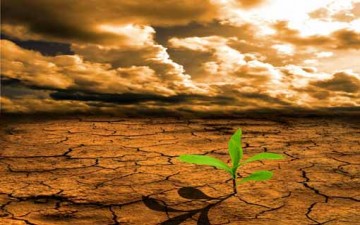 البرُّ بالطبقات الفقيرة