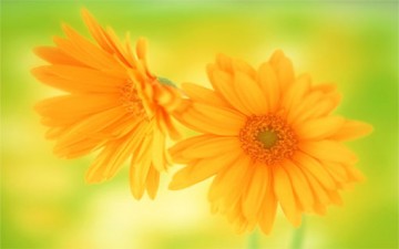 الإمام جعفر الصادق (ع).. عطاء مستمر