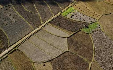 الإسلام والأقليات