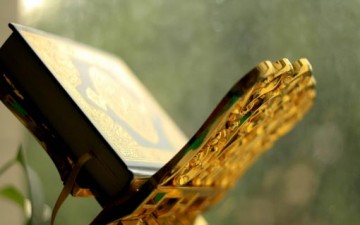 الرمان.. ثمرة استحقت ذكرها في القرآن