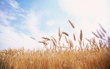 الصبرْ أمام اختبارات الله