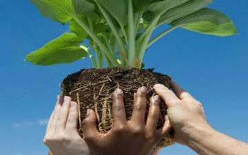 الإصلاح والعمل الجماعي