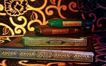 التشريع والبدائل المطلوبة