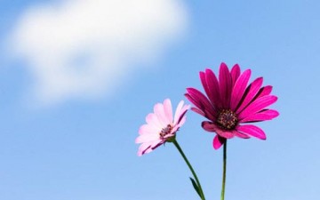 التسامح بين شرق وغرب.. قراءة في كتاب