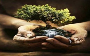 أولويات مقارعة الفقر.. تحديات ومعالجات