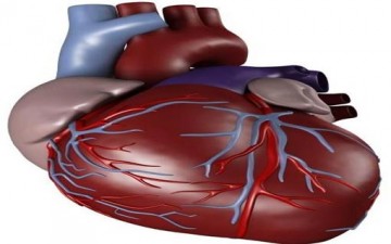 عظمة الخالق في القلب