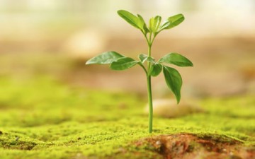 فلسفة النظريّة الأخلاقية