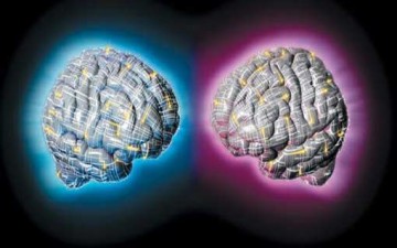 غياب الحوار الفلسفي