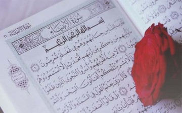 جماليات التشبيه في القرآن الكريم