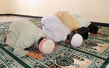 حقيقة سجود الكائنات