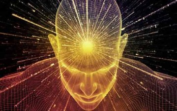 الحكمة (Wisdom)