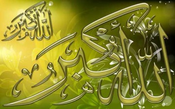 حاجتنا إلى ما يملأ عقولنا بالنور