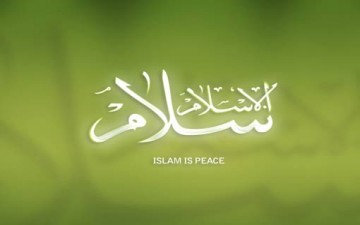 مرآة الإسلام ومرايا البشر