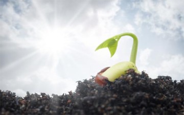 نظرات في رحاب الأخلاق في الإسلام