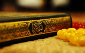 أولوا الألباب علامات وآيات في القرآن