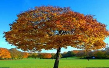 تعلّمت من الحياة