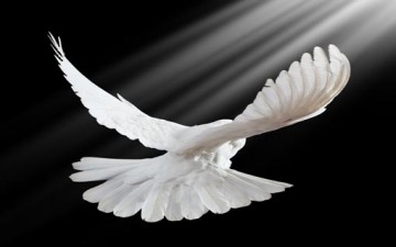 تأملات في الحرية الفكرية والسياسية