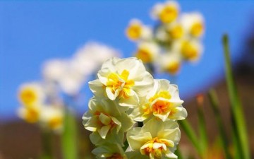 تحقيق الذات والصحة النفسية