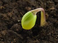 يخرج الحي من الميت ويخرج الميت من الحي