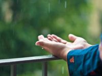 قبل أن لا ينفع الندَم