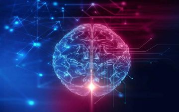 خارطةُ الإنسان