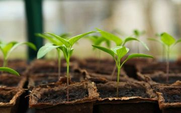 واقعُ التقوى ليس الخوف