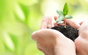 احترام الوالدين.. قيمة إنسانية كبرى