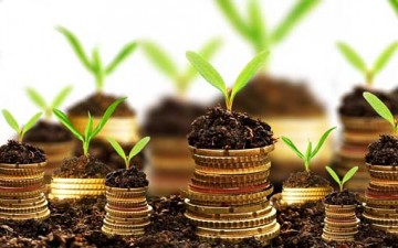 الوقف.. مشروع اقتصادي وصدقة جارية