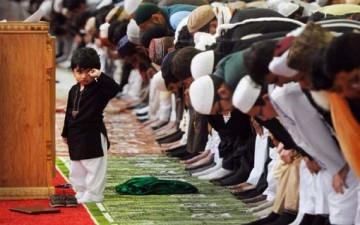 مظاهر المجتمع الحي