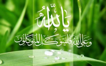 التوكل على الله.. دعم للروح وإصلاح للقلب